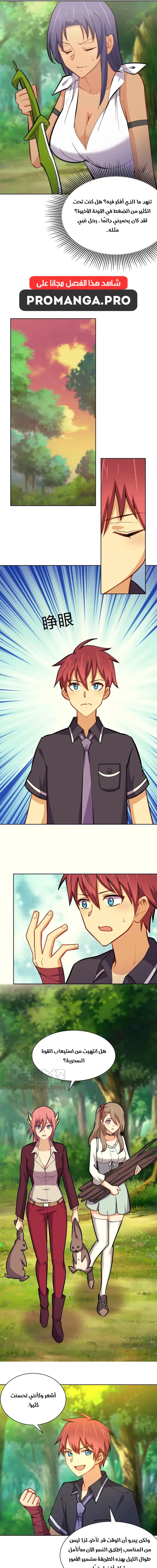 Chapter Image 5