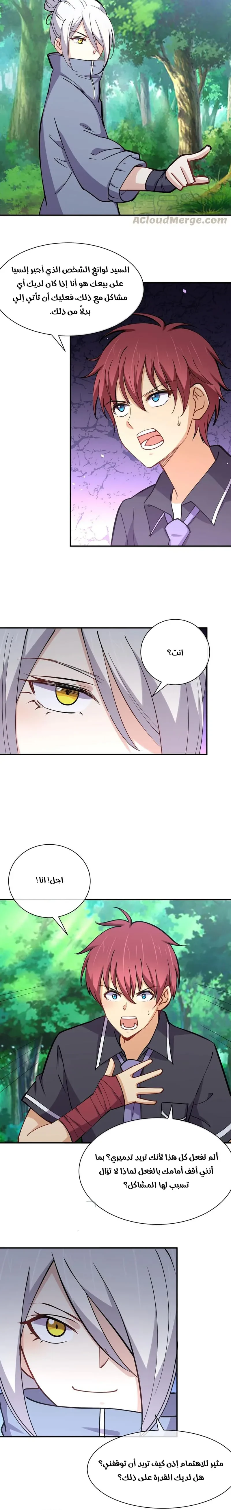 Chapter Image 4