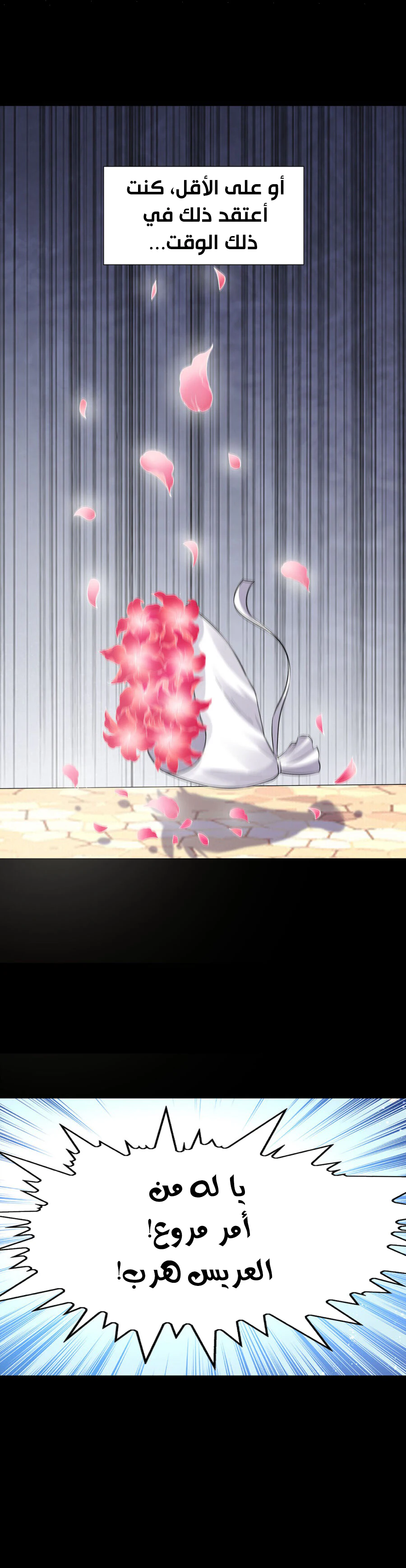 Chapter Image 12