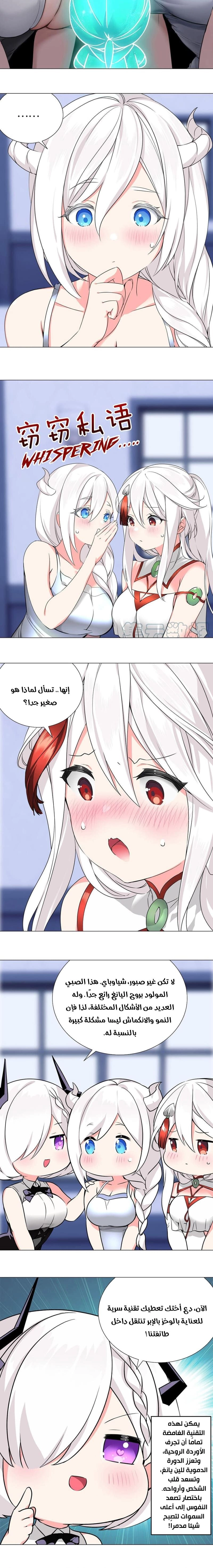 Chapter Image 4