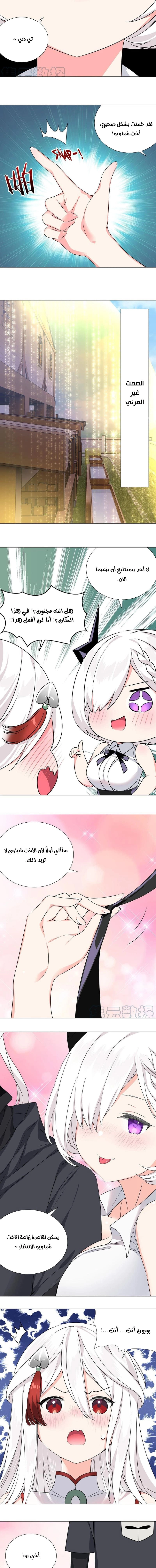 Chapter Image 19