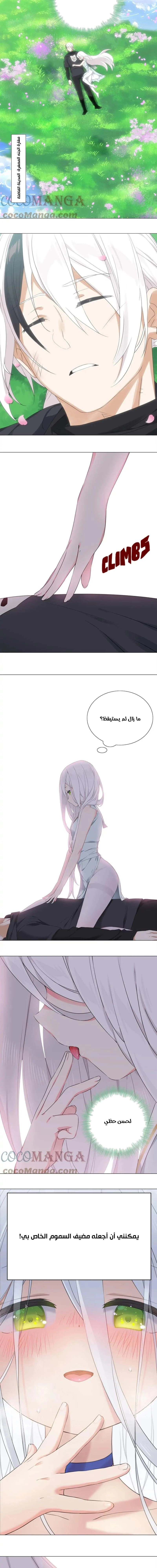 Chapter Image 19