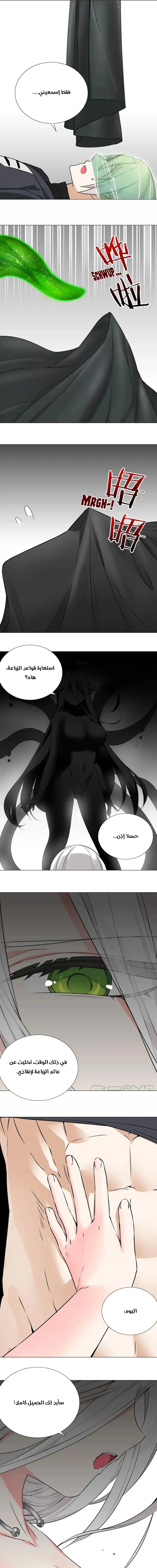 Chapter Image 19