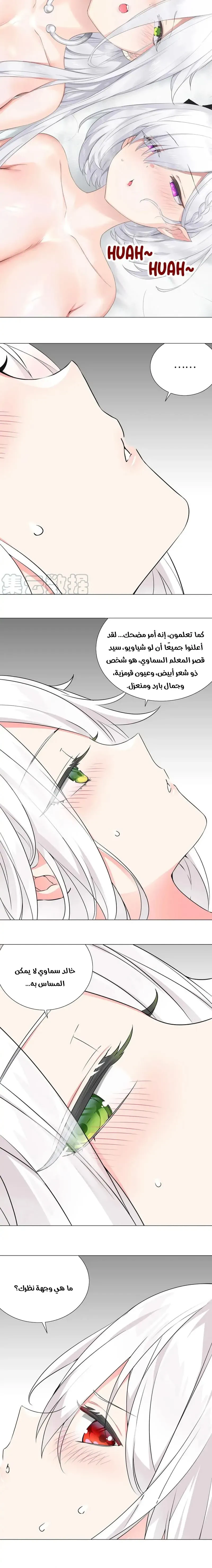 Chapter Image 14