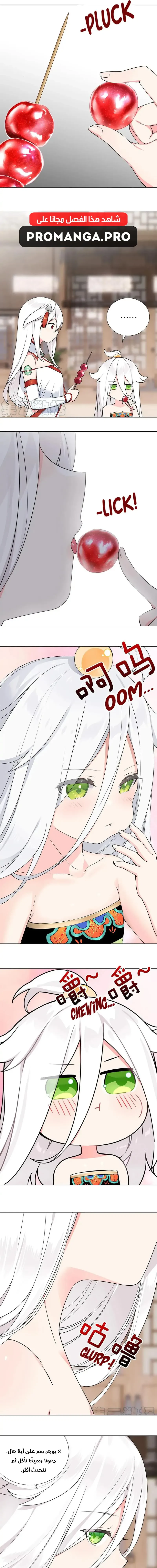 Chapter Image 3