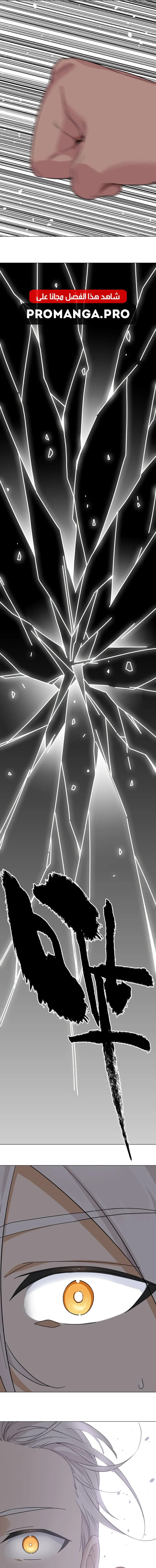 Chapter Image 13