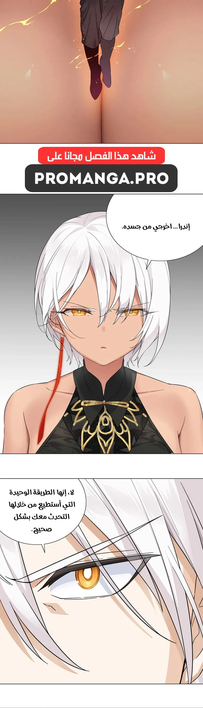Chapter Image 2