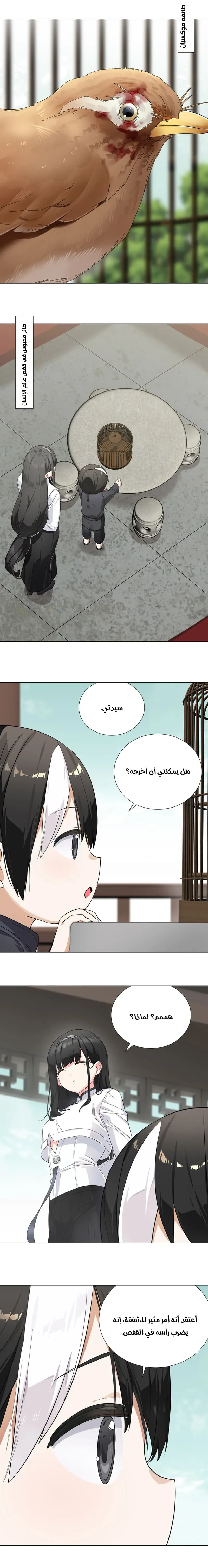 Chapter Image 12