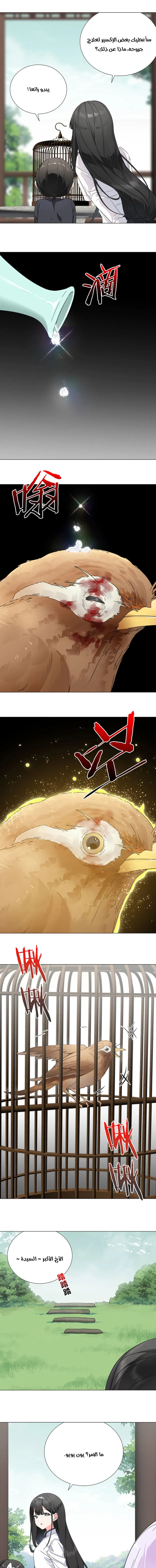 Chapter Image 13