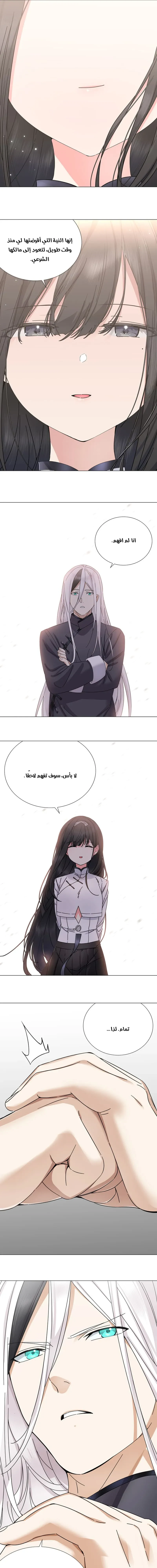 Chapter Image 23
