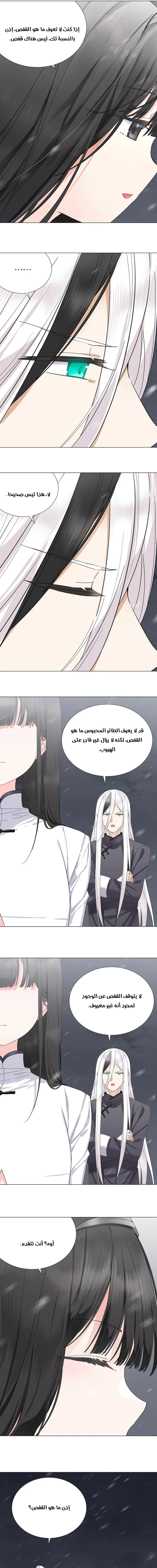 Chapter Image 9