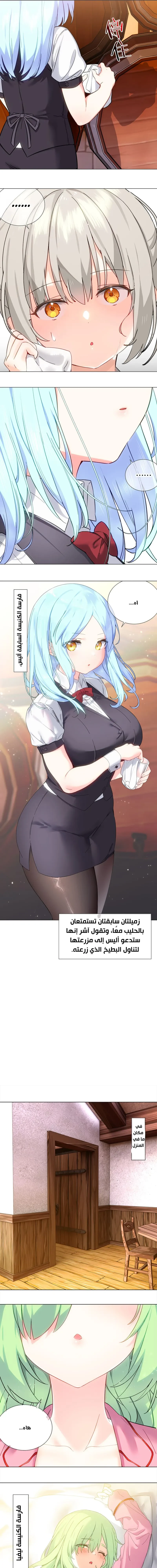 Chapter Image 27