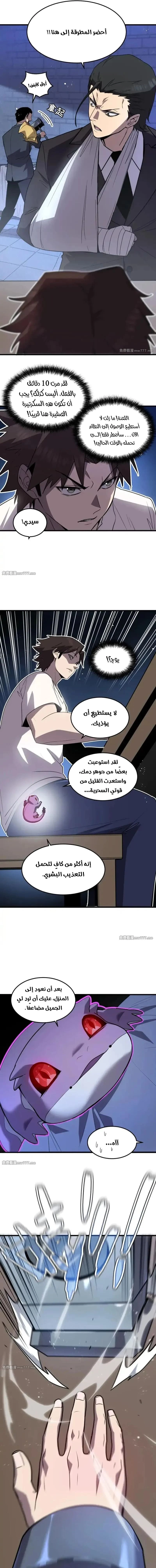Chapter Image 5