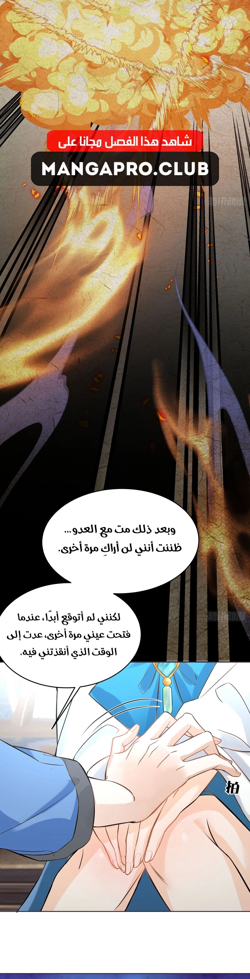 Chapter Image 11