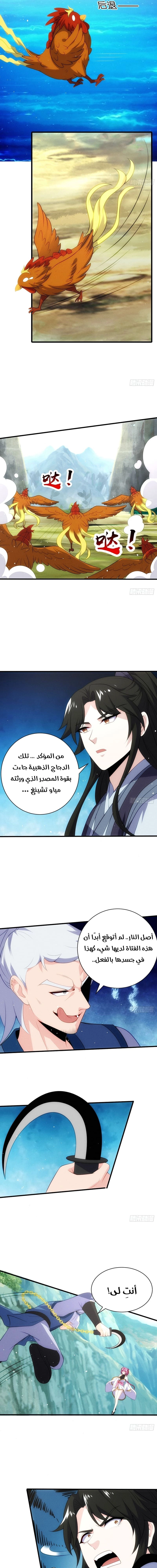 Chapter Image 5