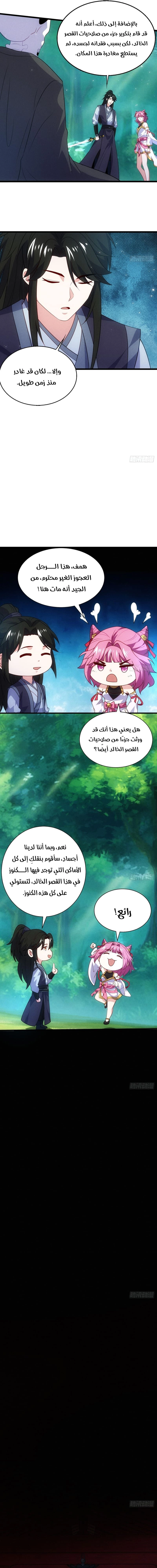 Chapter Image 5