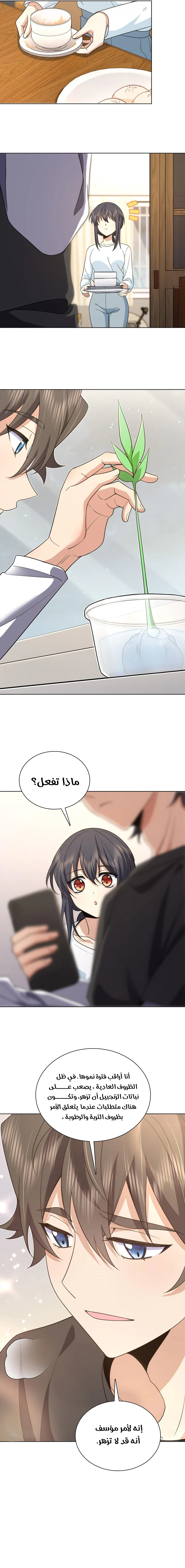 Chapter Image 13