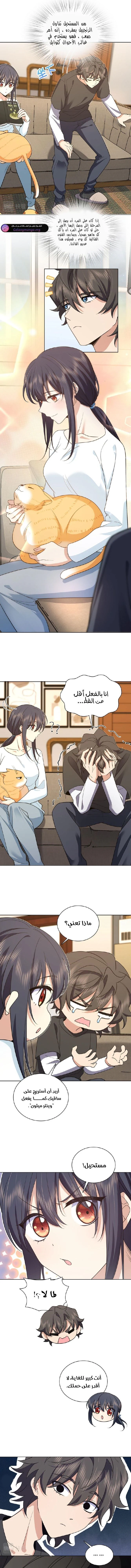 Chapter Image 15