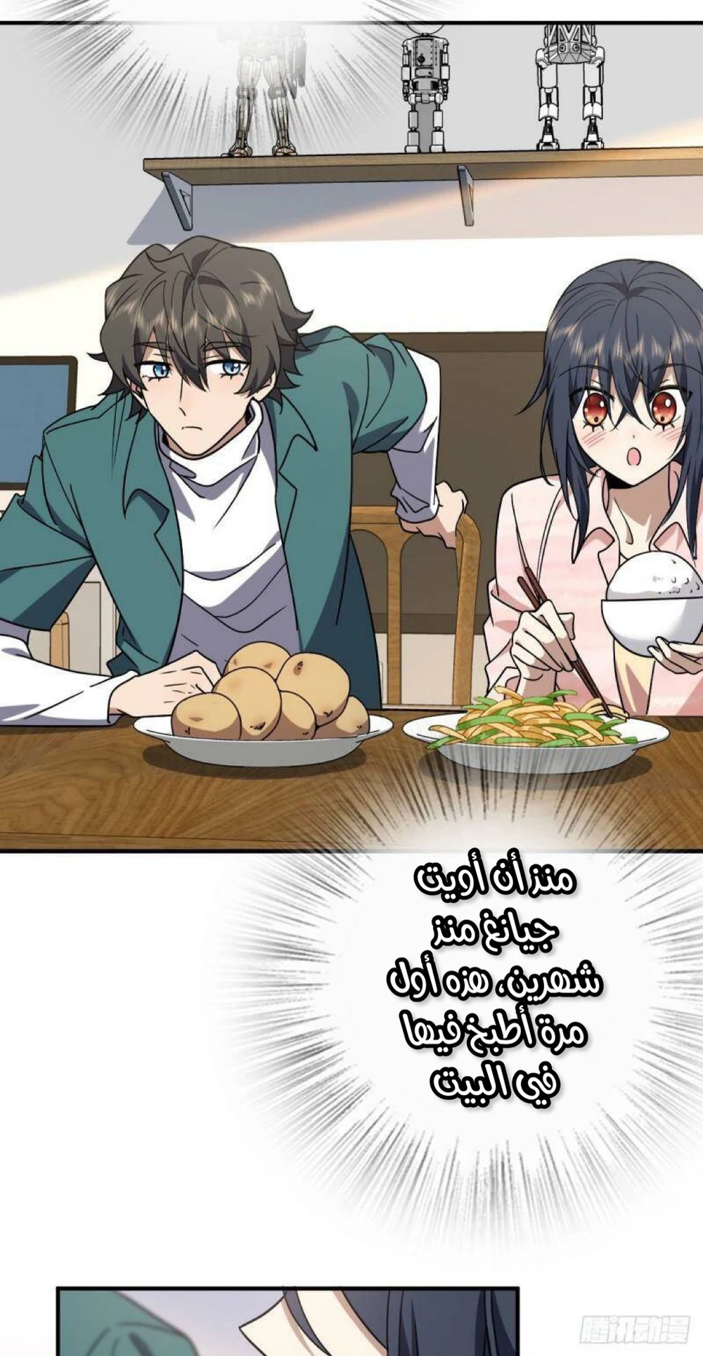 Chapter Image 13