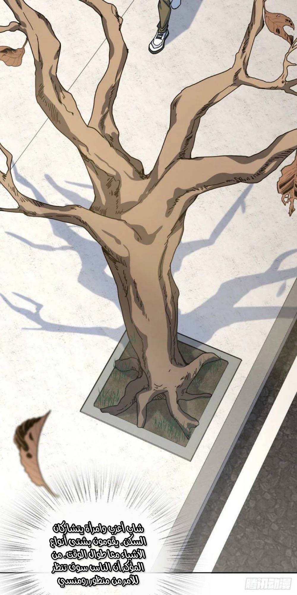 Chapter Image 49