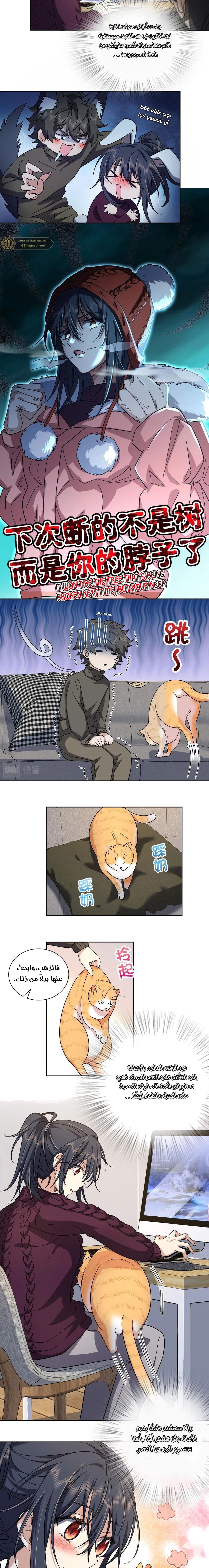 Chapter Image 9