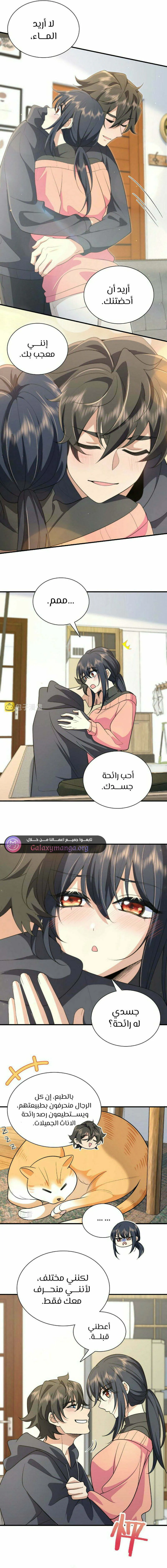 Chapter Image 2