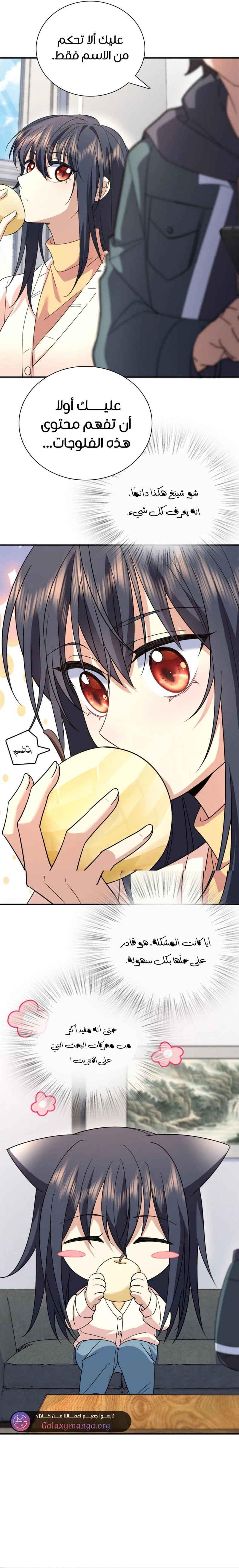 Chapter Image 5
