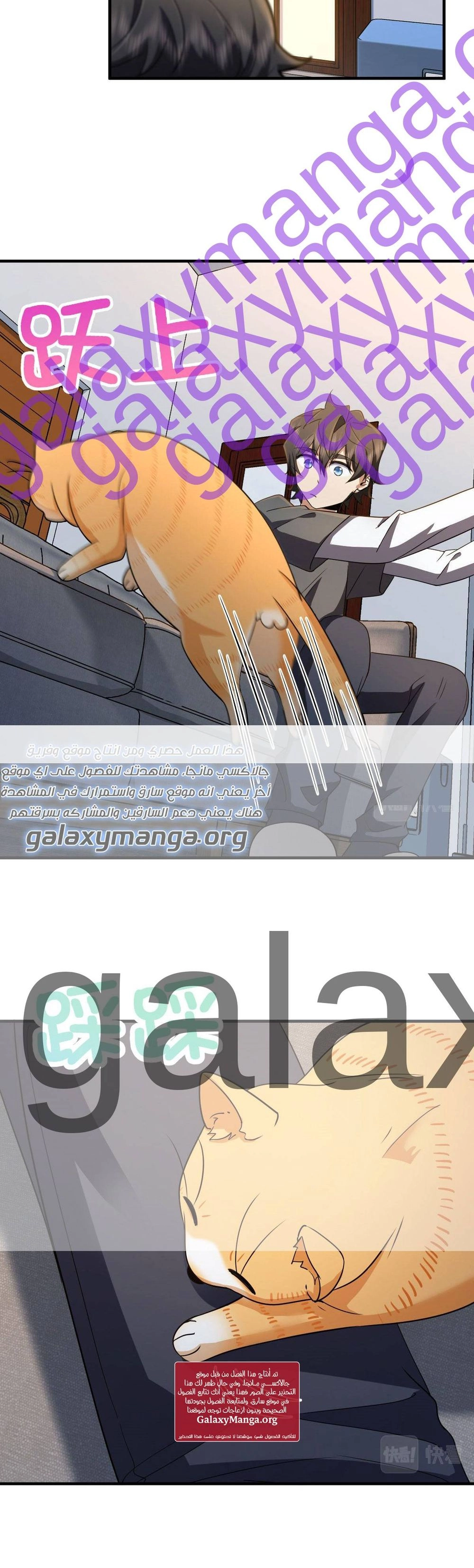 Chapter Image 7
