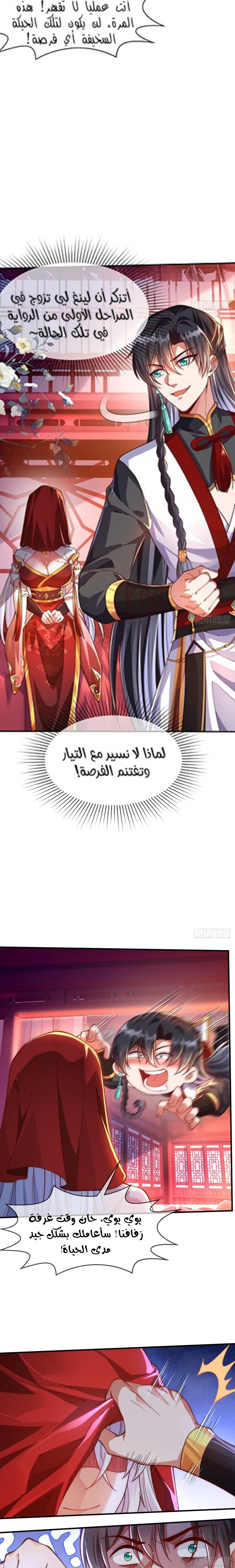 Chapter Image 5