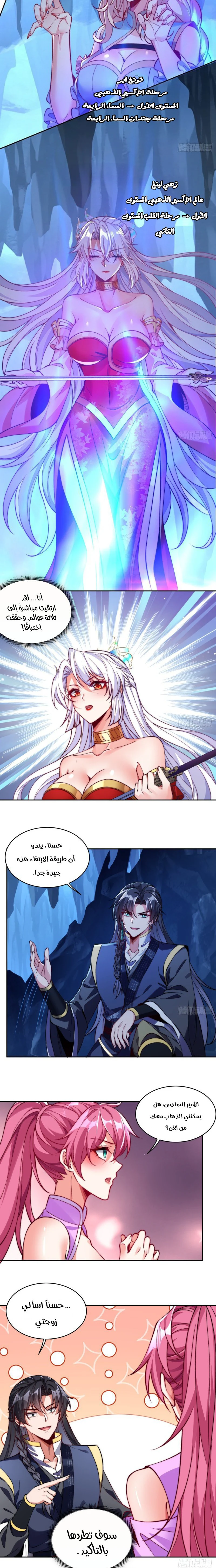 Chapter Image 7