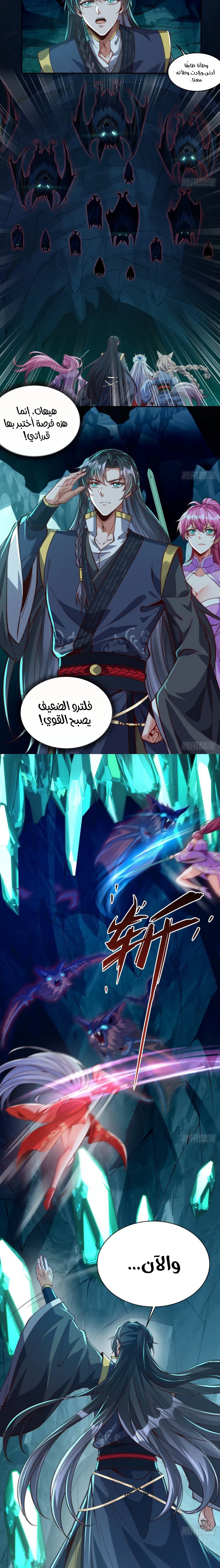 Chapter Image 5