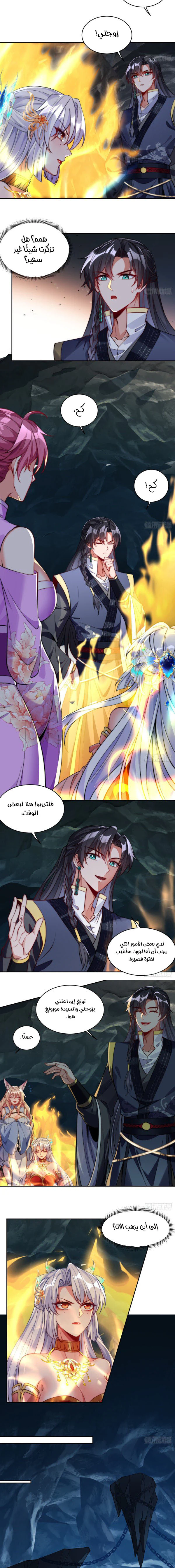 Chapter Image 2