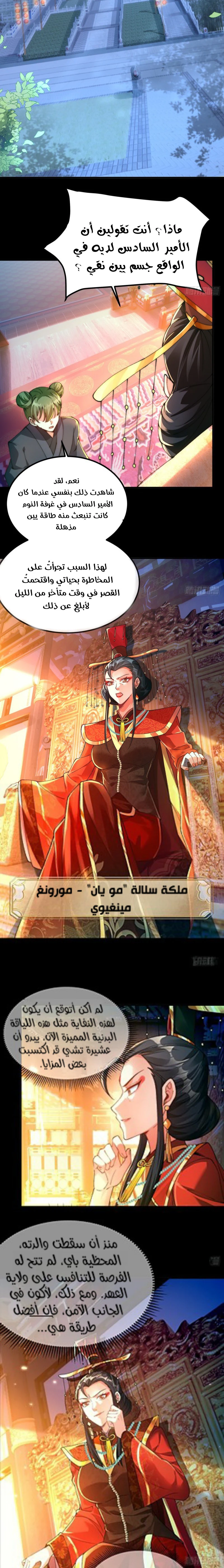 Chapter Image 5