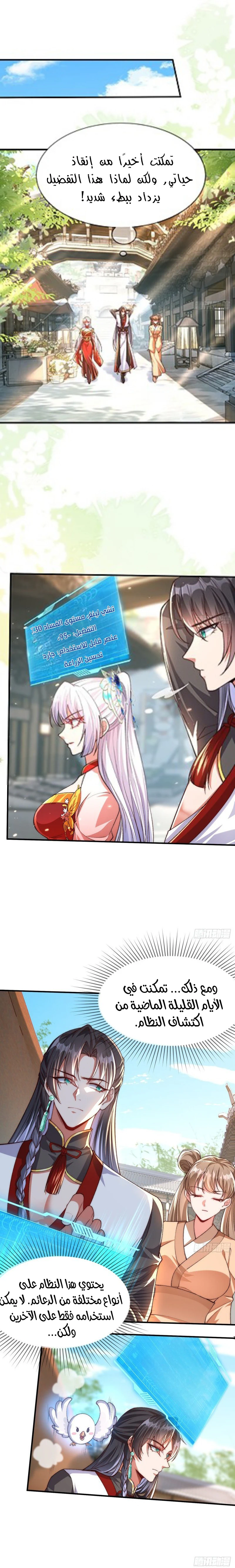 Chapter Image 1