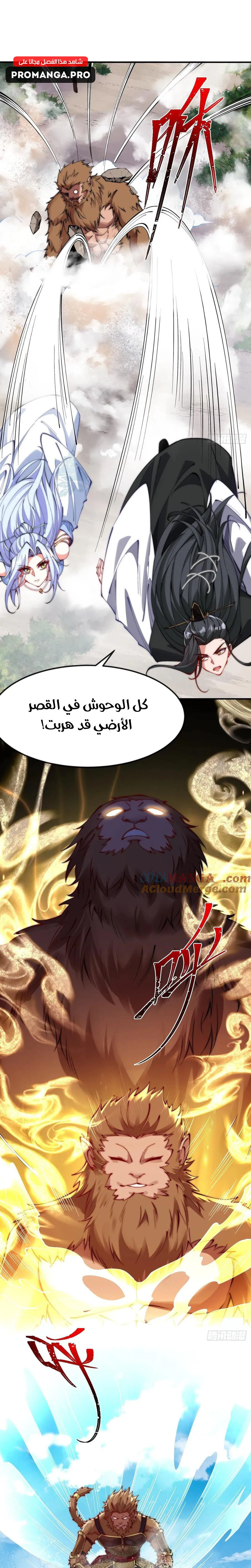 Chapter Image 5