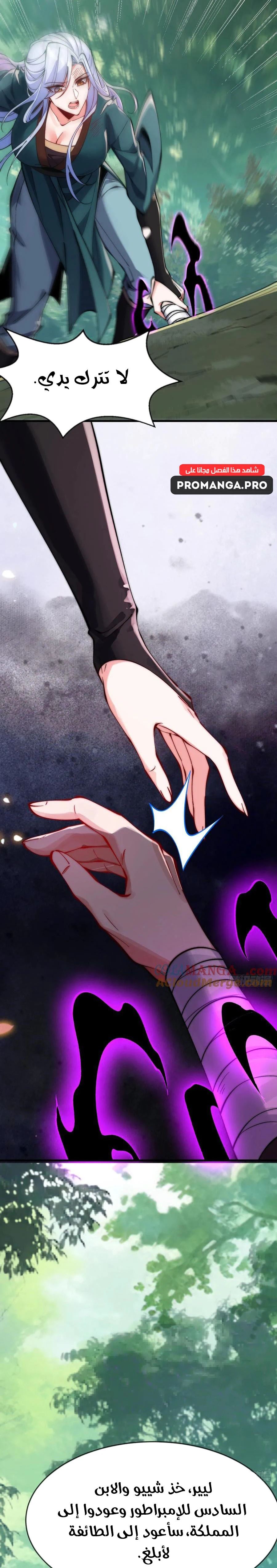 Chapter Image 5