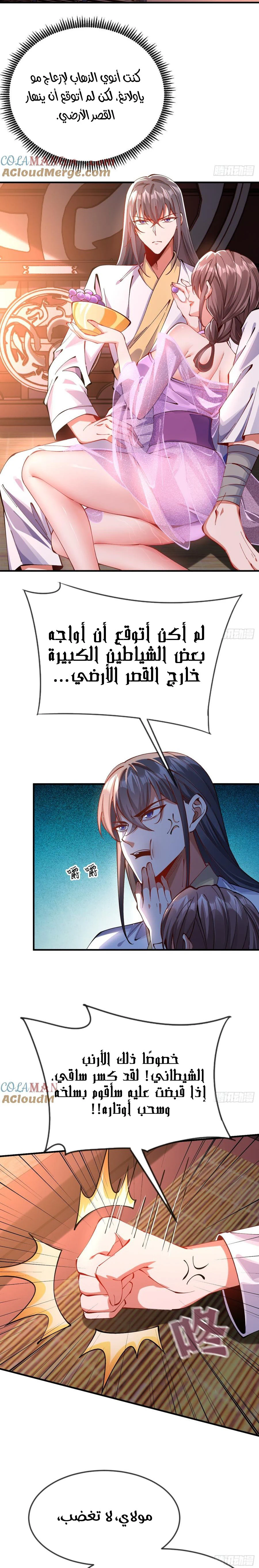 Chapter Image 4