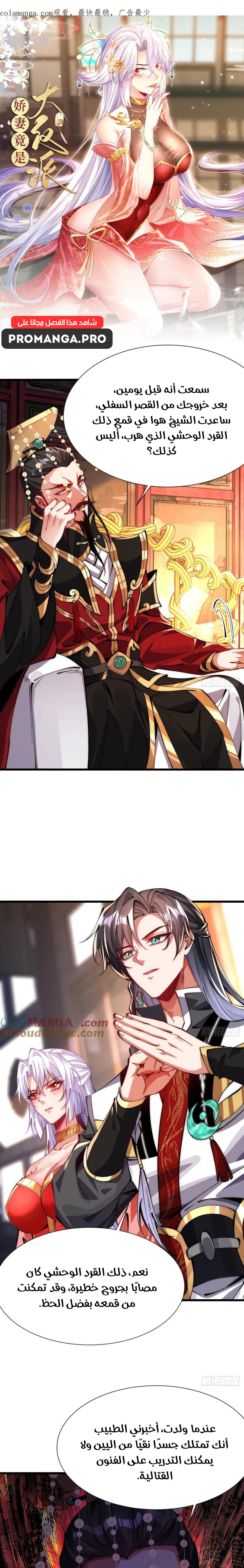 Chapter Image 1