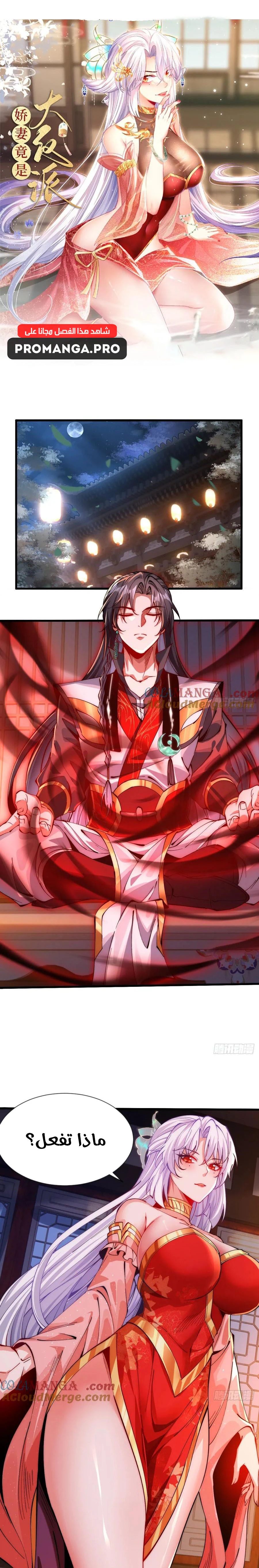 Chapter Image 1