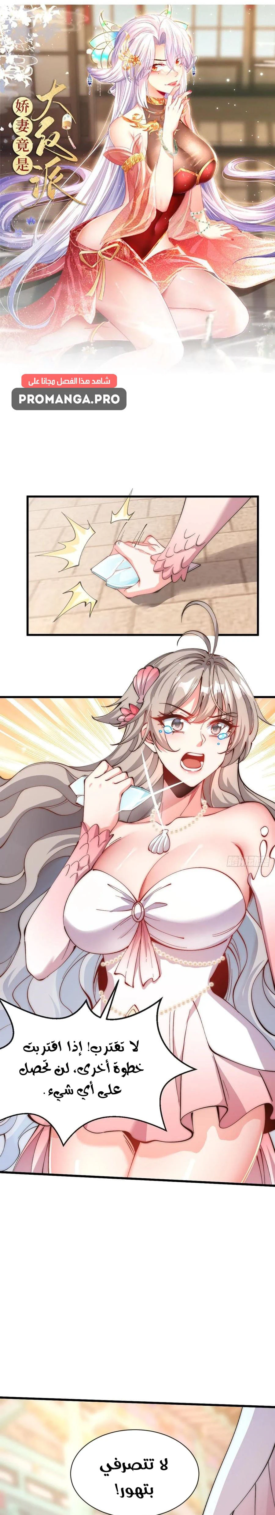 Chapter Image 1