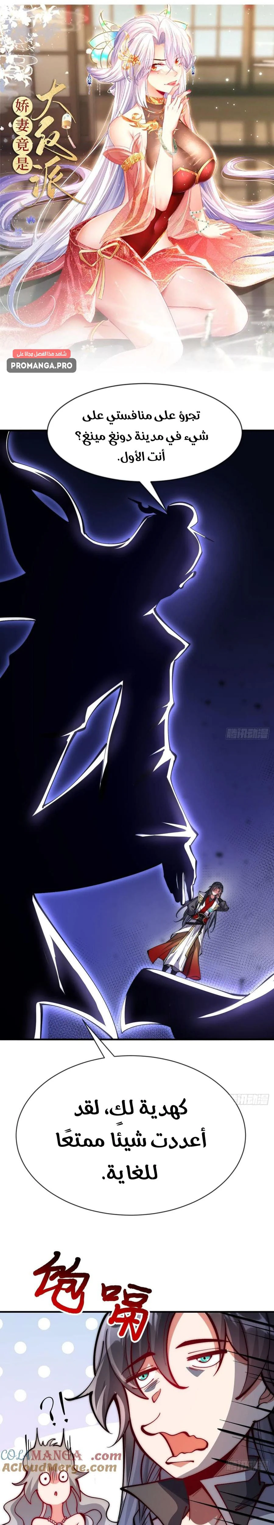 Chapter Image 1
