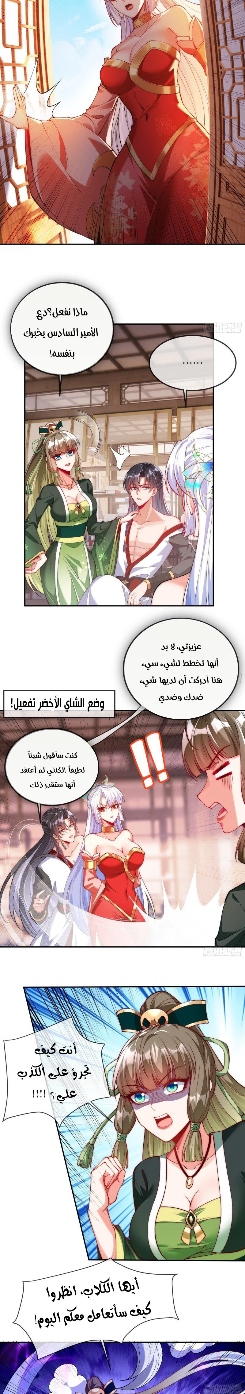 Chapter Image 4