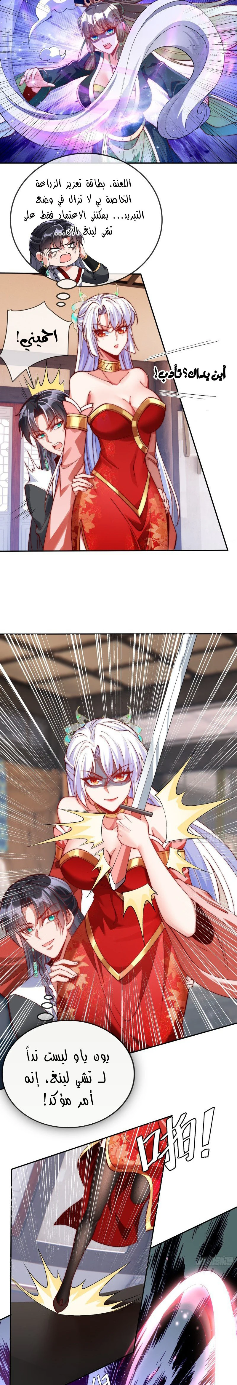 Chapter Image 5