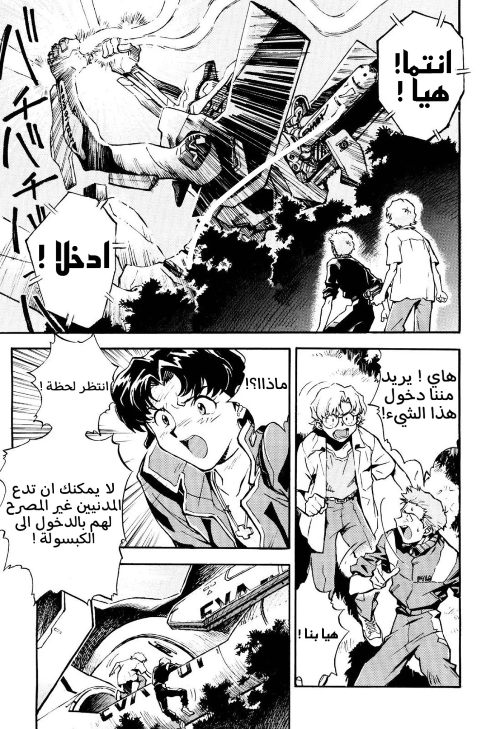 Chapter Image 5