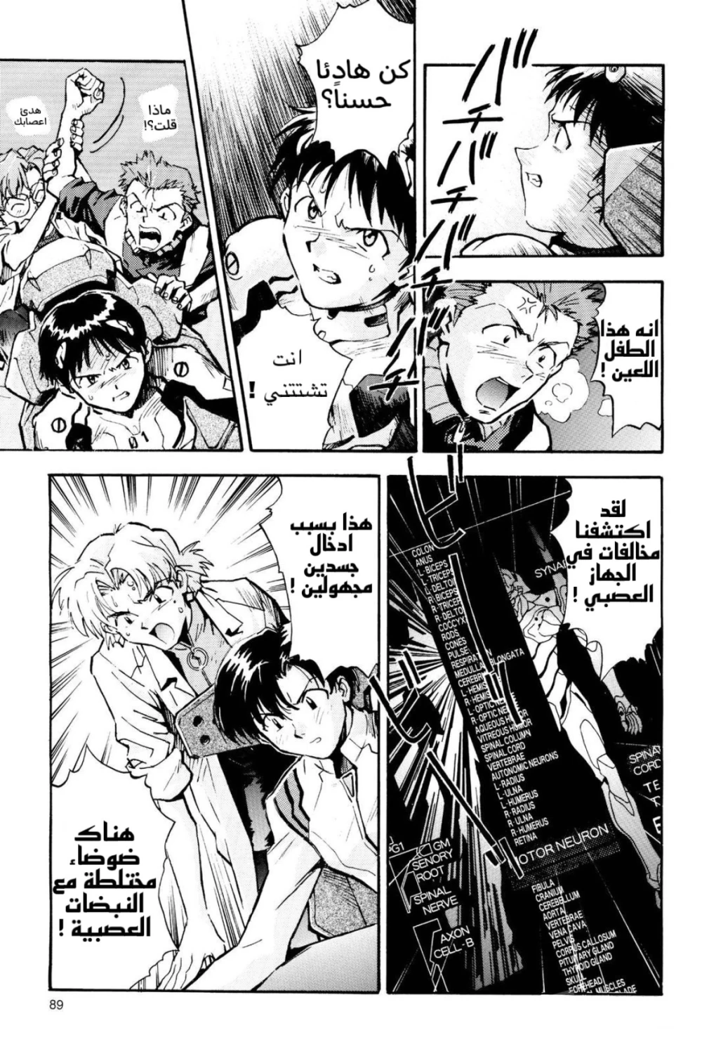 Chapter Image 7