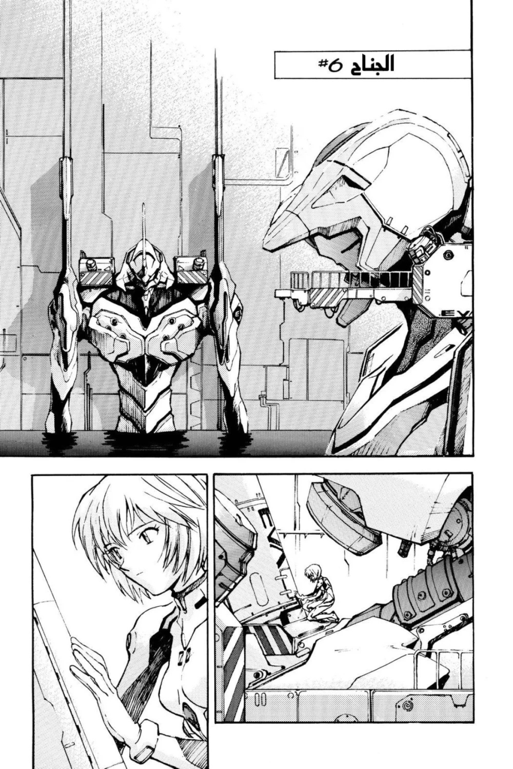 Chapter Image 7