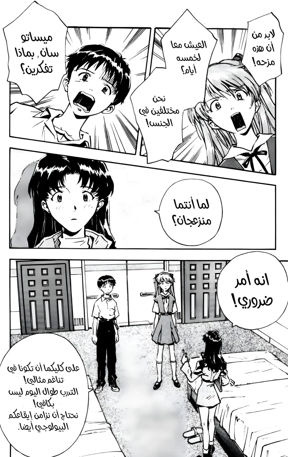 Chapter Image 3