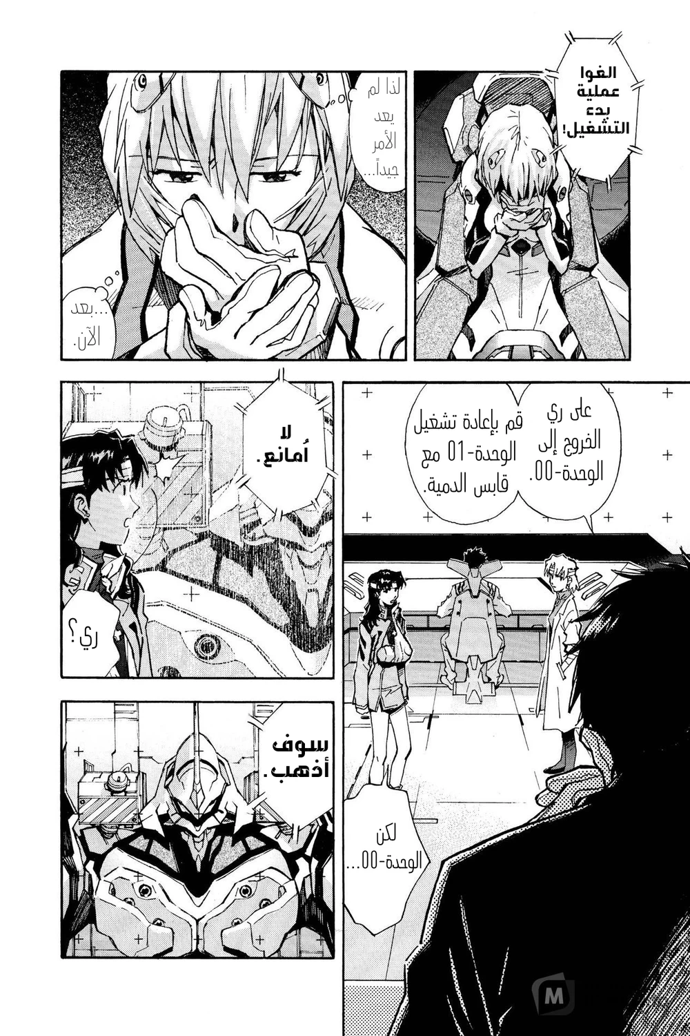 Chapter Image 5