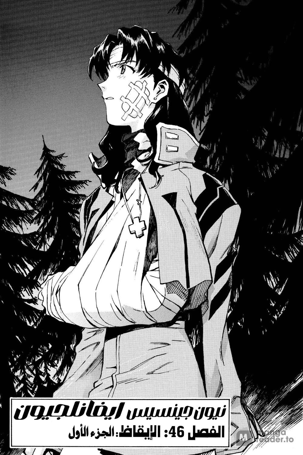Chapter Image 1