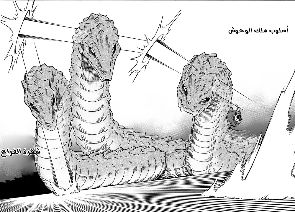 Chapter Image 17